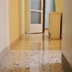 Quiet, Fully Refurbished In Apartment *